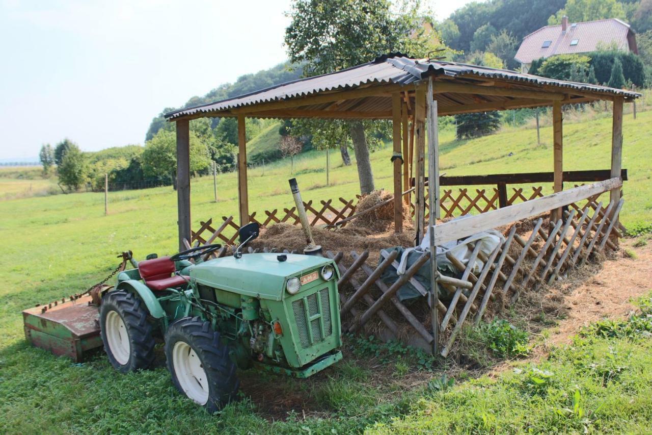 Ferienhof Graefe - 3-Seiten Hof Mit Grossem Garten, Pool & Sauna Meißen Esterno foto